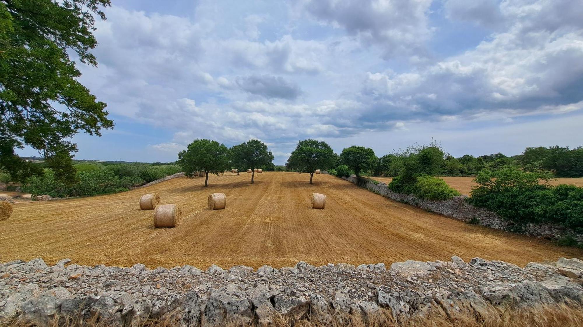 Casolare Di Puglia Villa Noci Luaran gambar